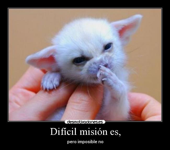 carteles que fuerza acompane desmotivaciones