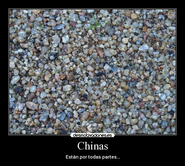 carteles chinas desmotivaciones