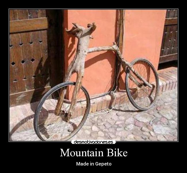 Mountain Bike -