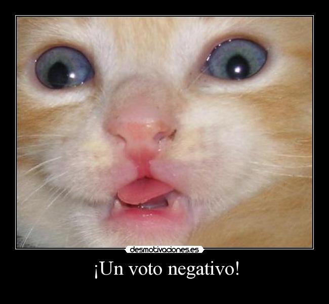 ¡Un voto negativo! - 