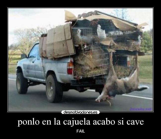 carteles sds desmotivaciones