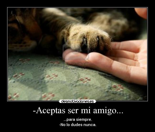 -Aceptas ser mi amigo... - 