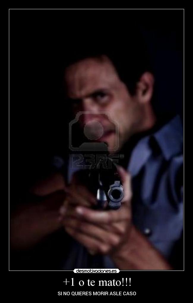 +1 o te mato!!! -
