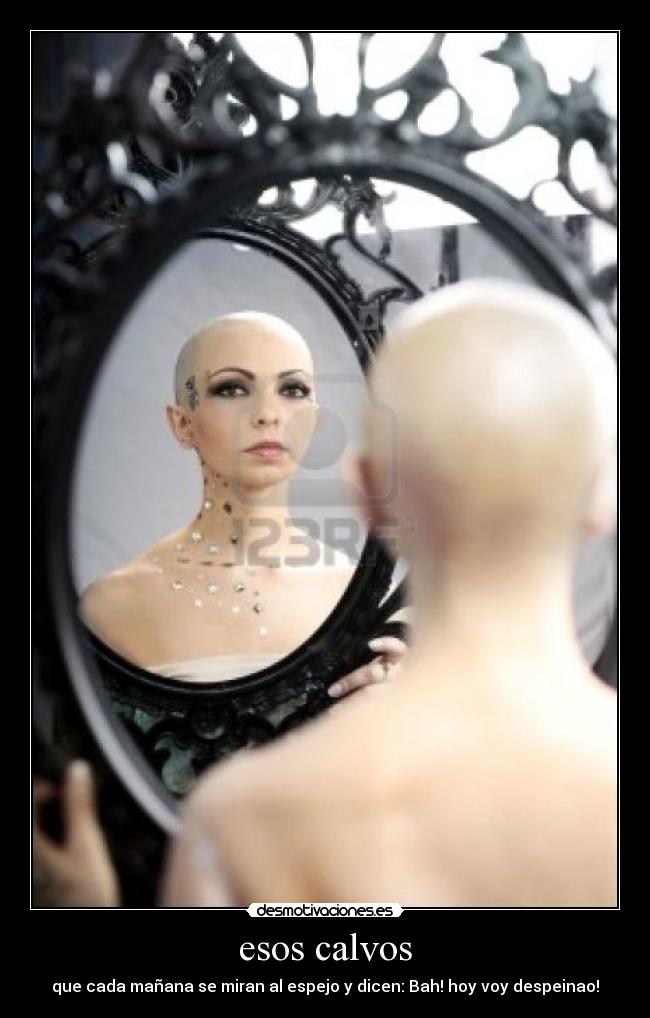 esos calvos - que cada mañana se miran al espejo y dicen: Bah! hoy voy despeinao!