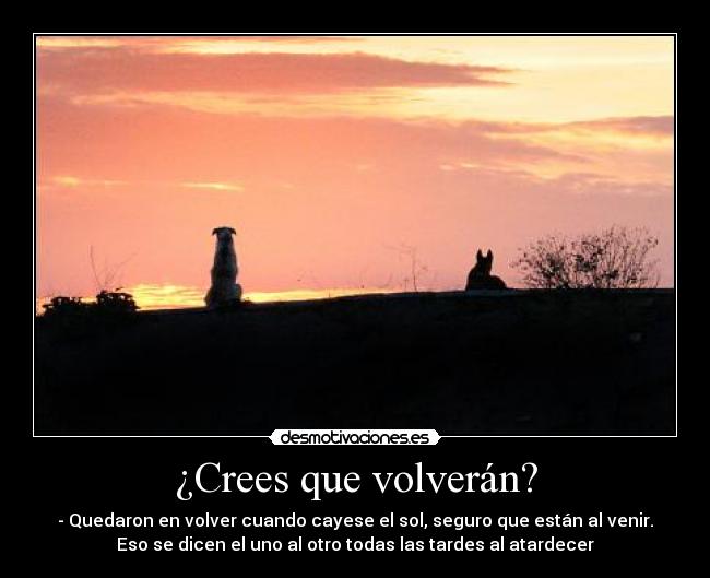 ¿Crees que volverán? - 