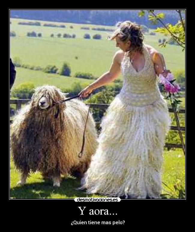 Y aora... - ¿Quien tiene mas pelo?
