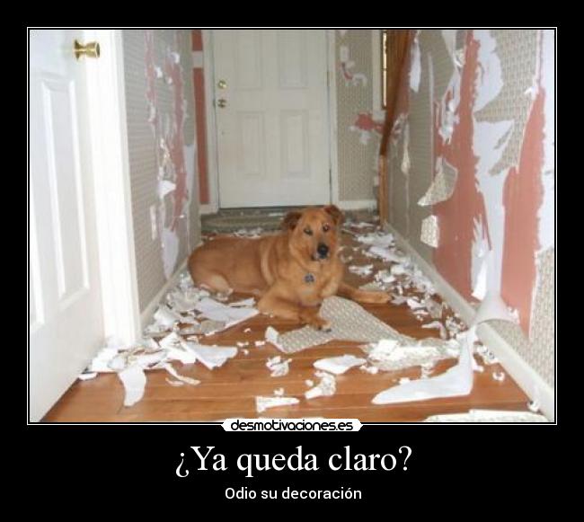 ¿Ya queda claro? - Odio su decoración