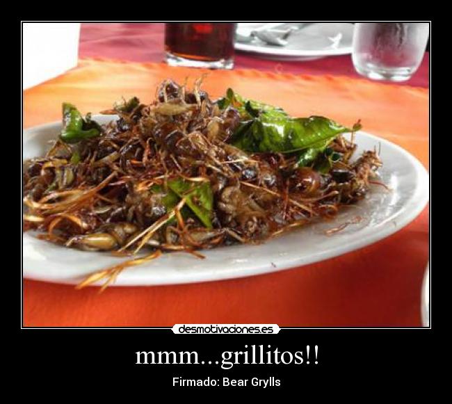 mmm...grillitos!! - Firmado: Bear Grylls