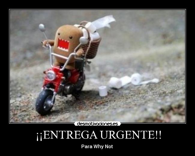 ¡¡ENTREGA URGENTE!! -
