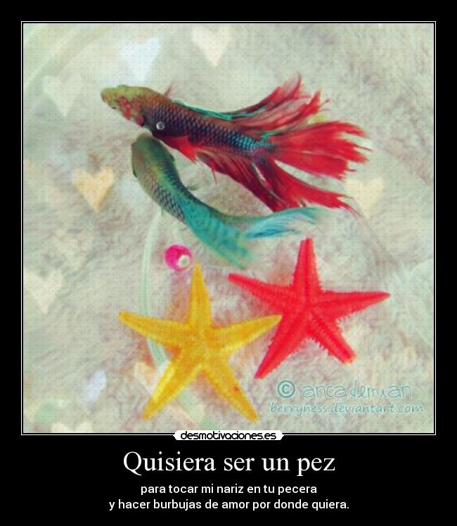 Quisiera ser un pez - 