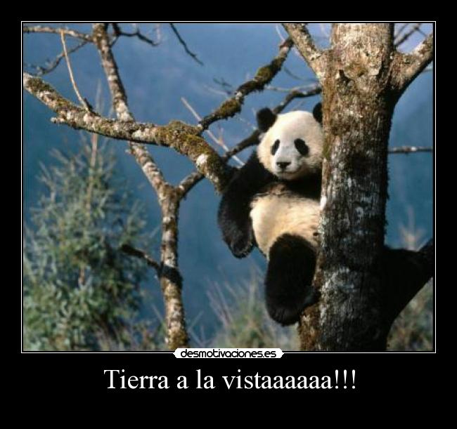 Tierra a la vistaaaaaa!!! -