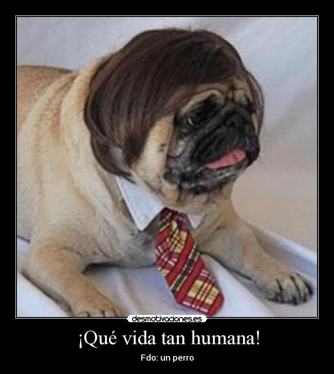 ¡Qué vida tan humana! -