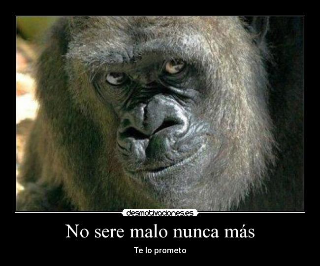 No sere malo nunca más - 