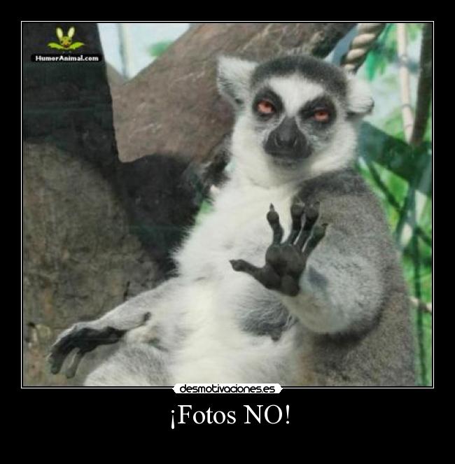 ¡Fotos NO! -