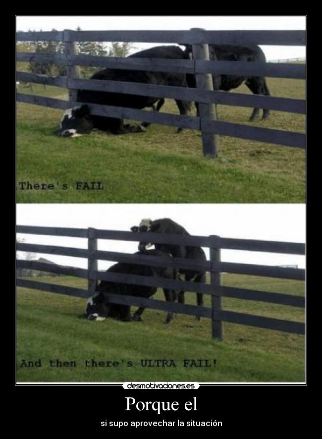 Porque el - si supo aprovechar la situación