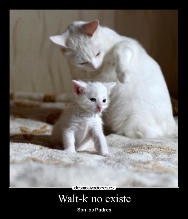 carteles walt-k magos desmotivaciones