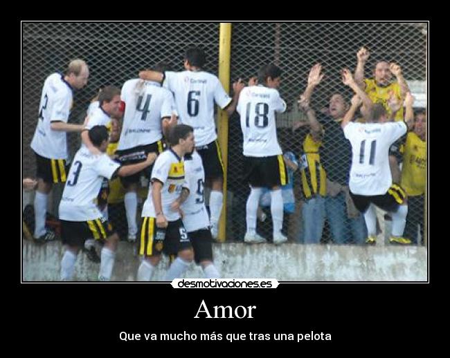 Amor -