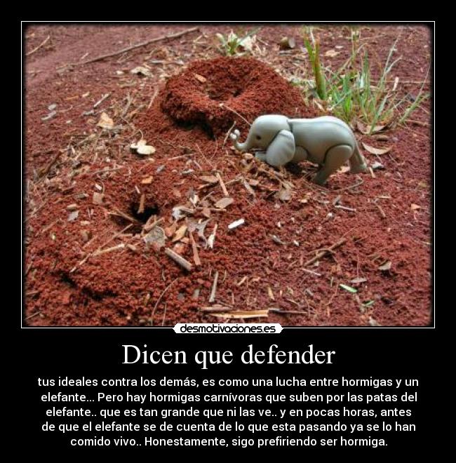 Dicen que defender - 
