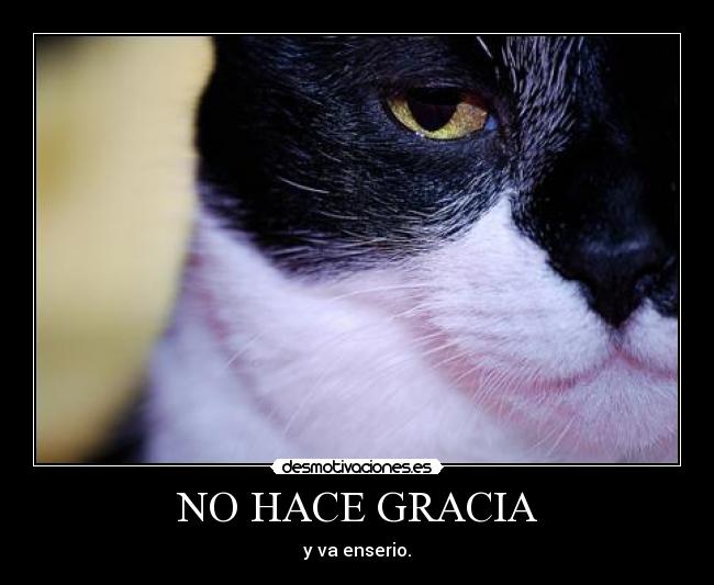 NO HACE GRACIA -