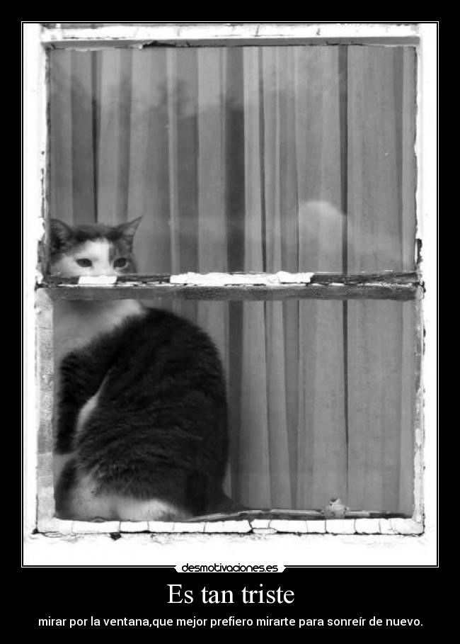 Es tan triste - mirar por la ventana,que mejor prefiero mirarte para sonreír de nuevo.