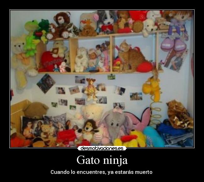 Gato ninja - 