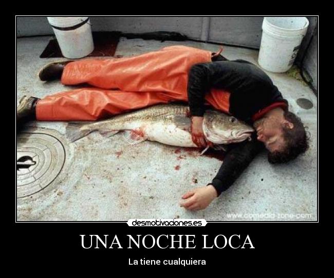 UNA NOCHE LOCA - La tiene cualquiera