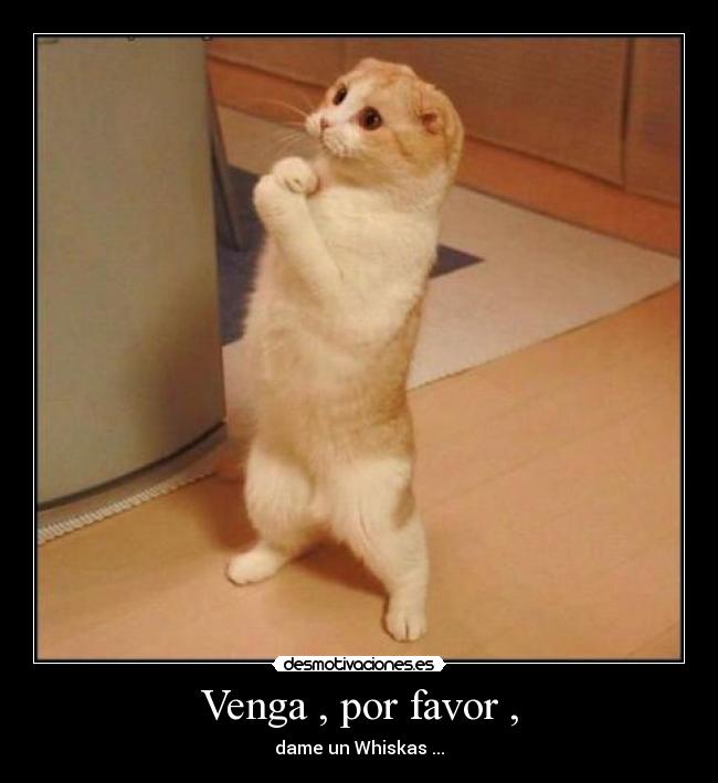 Venga , por favor , -