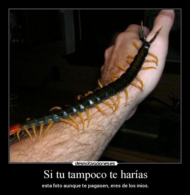 Si tu tampoco te harías - esta foto aunque te pagasen, eres de los mios.