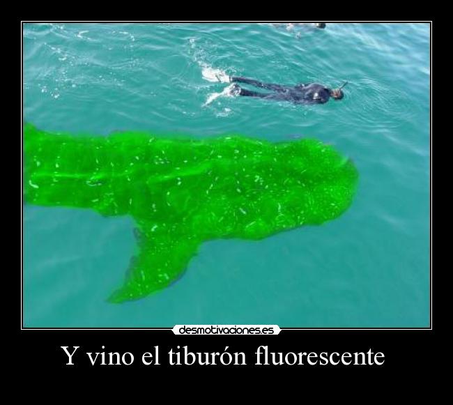 Y vino el tiburón fluorescente -
