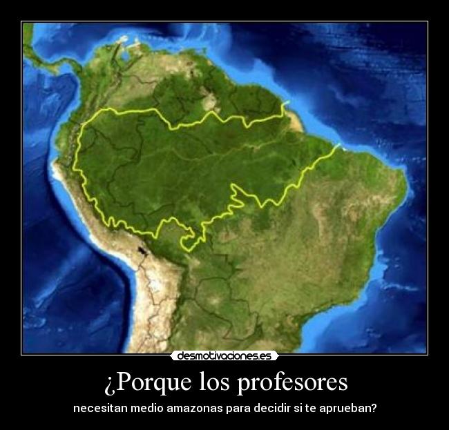 ¿Porque los profesores - necesitan medio amazonas para decidir si te aprueban?