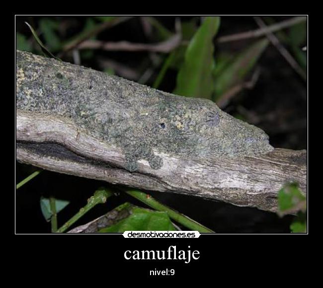 camuflaje - nivel:9