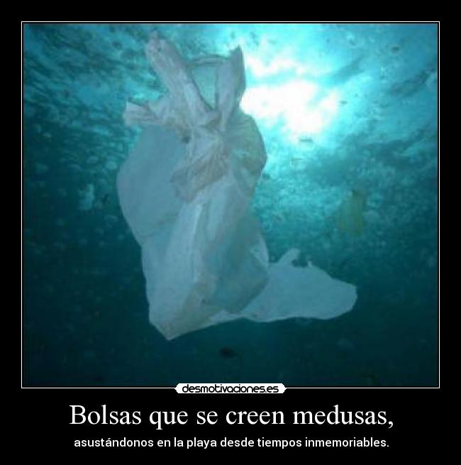 carteles bolsas desmotivaciones