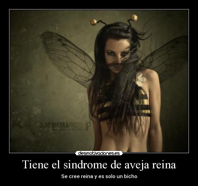 Tiene el sindrome de aveja reina -