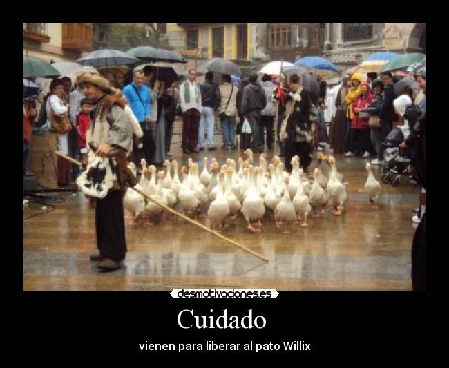 Cuidado  - 