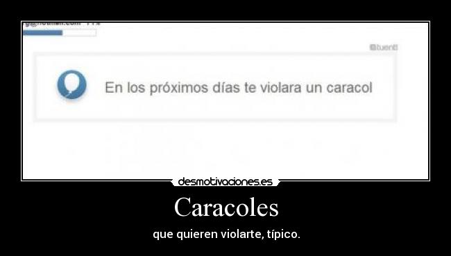 Caracoles - que quieren violarte, típico.