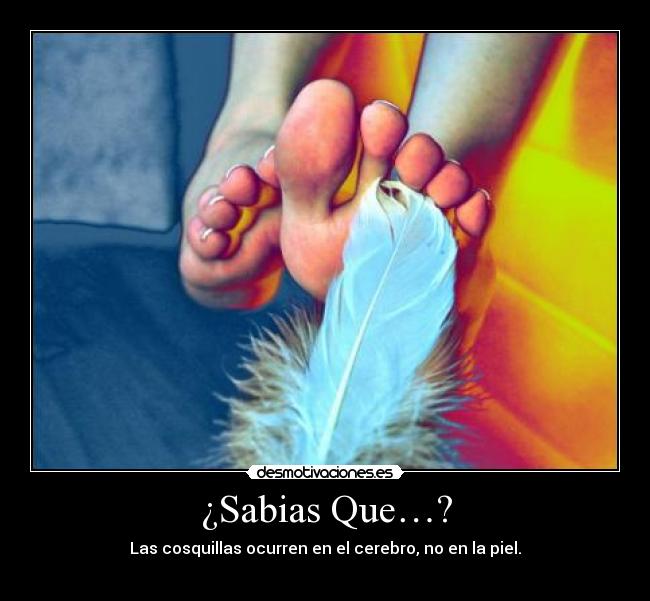 ¿Sabias Que…? - 