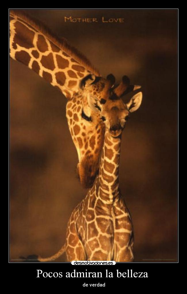 Pocos admiran la belleza - de verdad