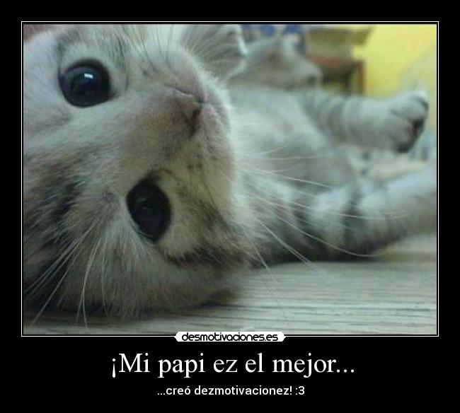 carteles gato desmotivaciones