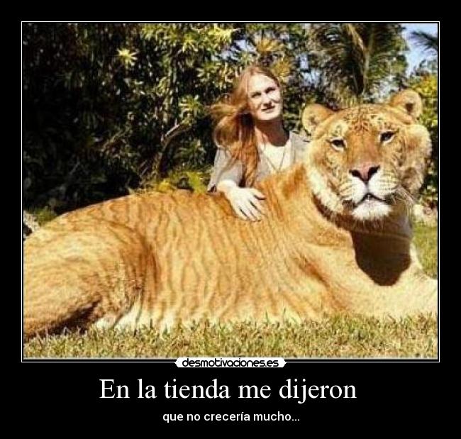 En la tienda me dijeron - que no crecería mucho...