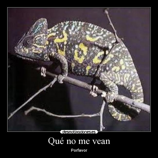Qué no me vean - 