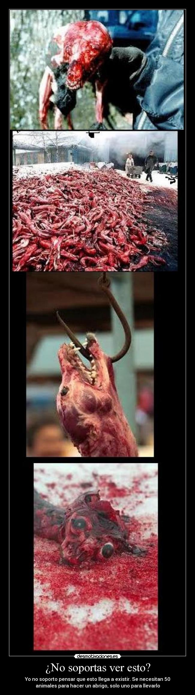 ¿No soportas ver esto? -