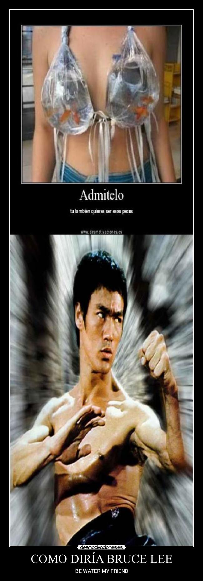 COMO DIRÍA BRUCE LEE - BE WATER MY FRIEND