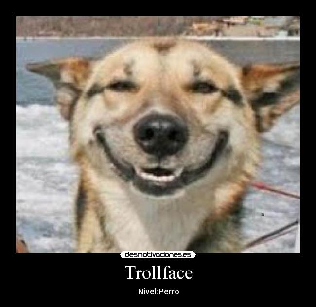 Trollface - Nivel:Perro