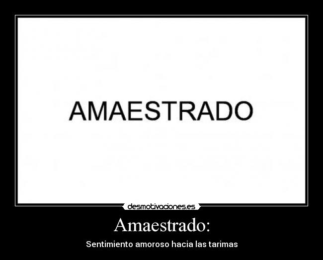 Amaestrado: - Sentimiento amoroso hacia las tarimas