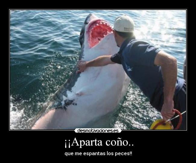 ¡¡Aparta coño.. -