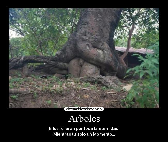 carteles arboles follando desmotivaciones
