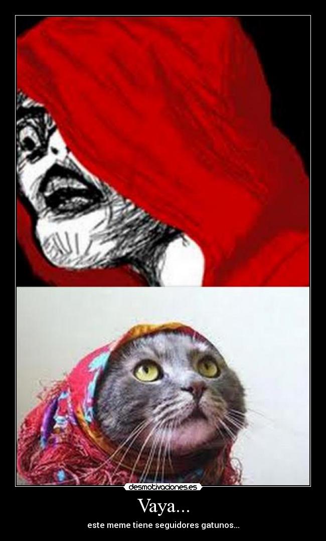 Vaya... - este meme tiene seguidores gatunos...