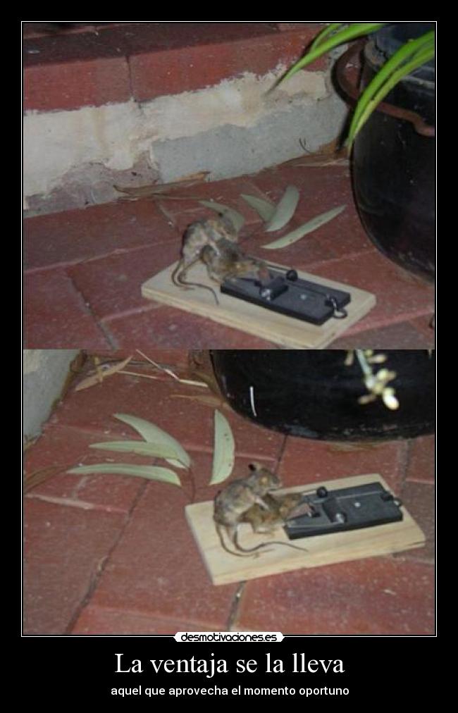 carteles ventaja desmotivaciones