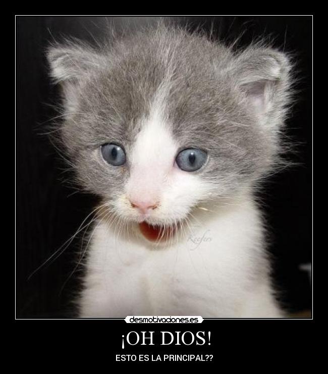 ¡OH DIOS! - 