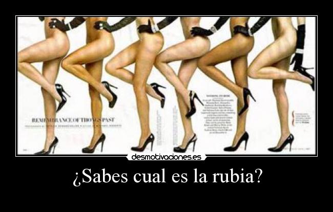 ¿Sabes cual es la rubia? -